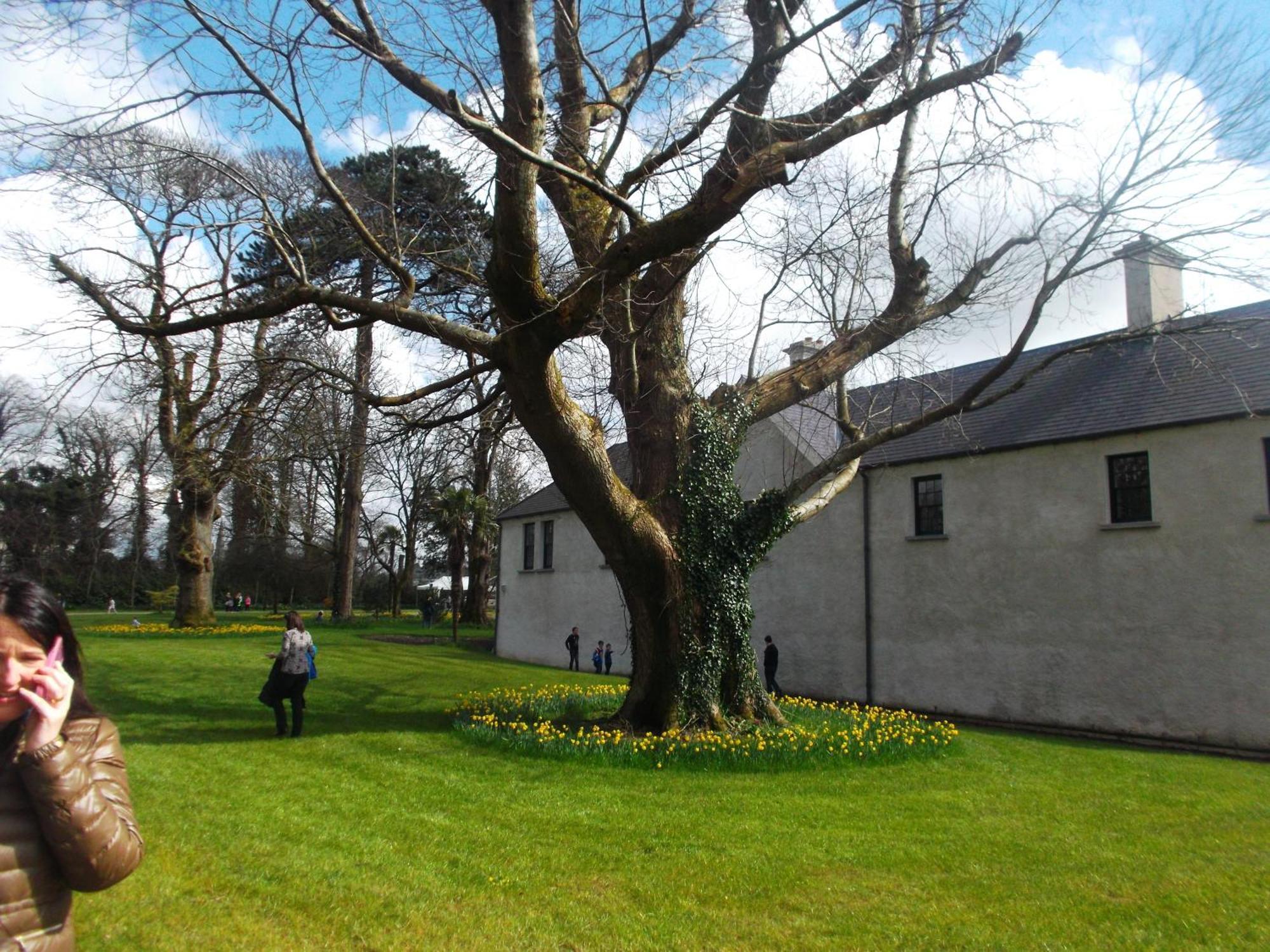 Kerry Holiday Homes At The Killarney Holiday Village Exterior foto
